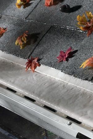 Time to Clean Your Gutters