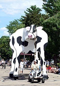 Wisconsin State Cow Chip Throw and Festival | THIS WEEKEND!