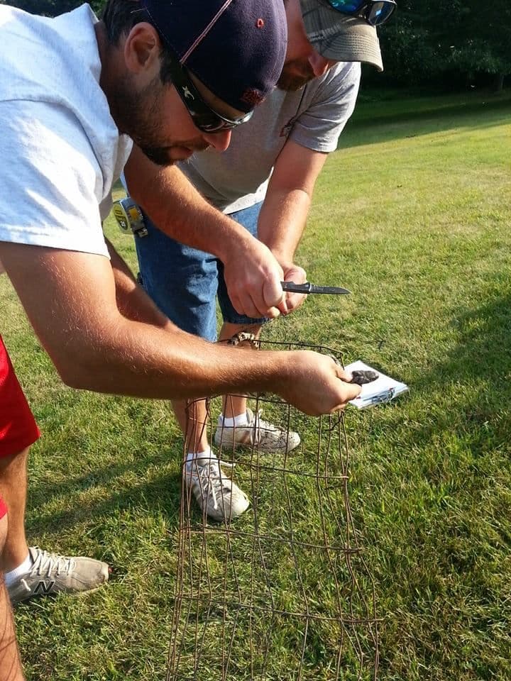 The Frey Construction Great Snake Rescue 2014