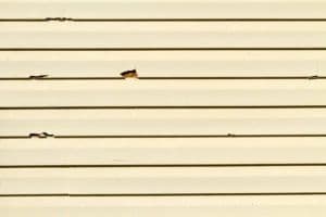 Hail Damage Repair - Sun Prairie, WI