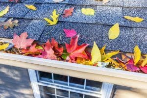 Gutter Guards - Sauk City, WI