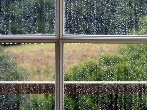 What Are the Benefits of Low-E Glass?