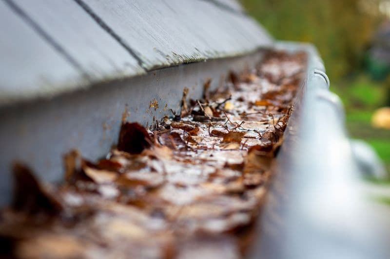 Gutter Cleaning