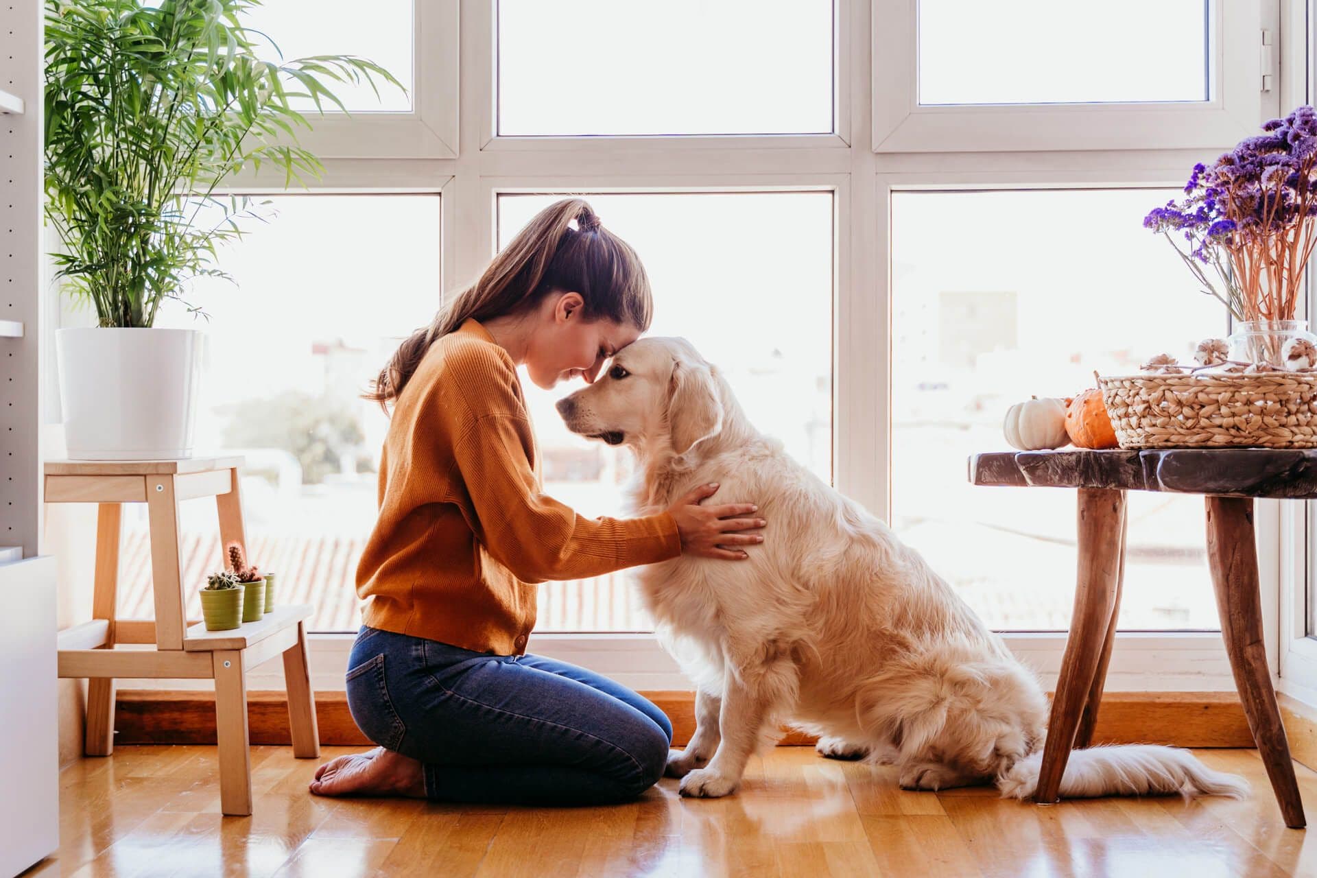 Woman and dog in front of windows