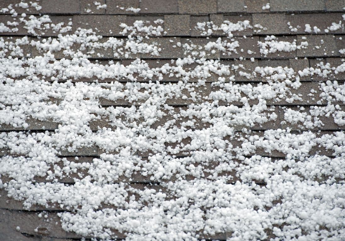 Hail sits on a shingle roof.
