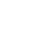 Smartphone